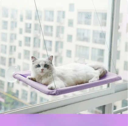 Suspended Bed for Pets + Pet Hair Remover
