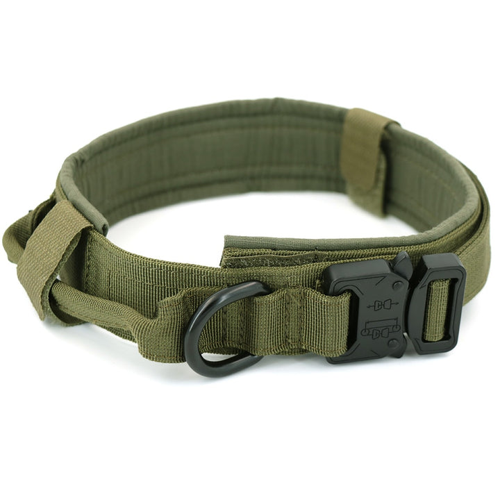 Heavy-Duty Dog Collar