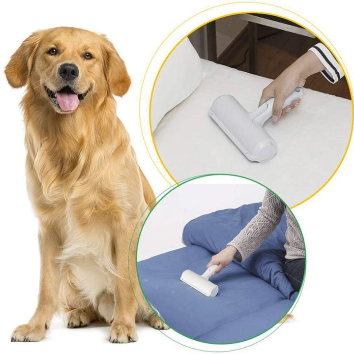 Suspended Bed for Pets + Pet Hair Remover