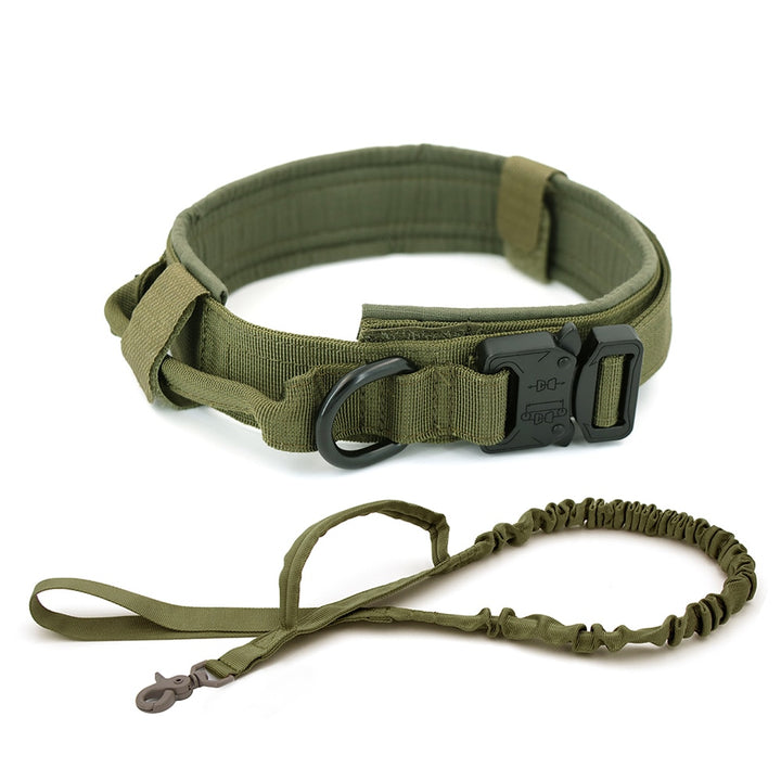 Heavy-Duty Dog Collar
