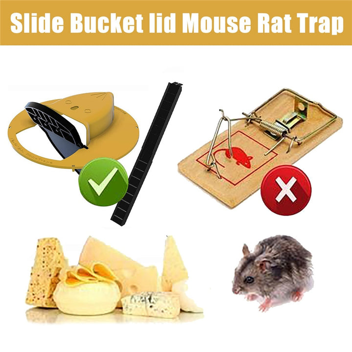 Bucket Lid Mouse Trap